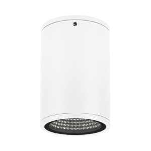 Уличный потолочный светильник Arlight LGD-Forma-Surface-R90-12W Day4000 037259
