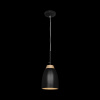 Подвесной светильник LOFT IT Watchman Loft4402A-Bl