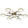 Потолочный светильник F-Promo Hybrid 4686-13C