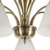 Потолочная люстра Myfar Anna MR1453-7C