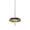 Подвесной светильник DeLight Collection MD18001061-1A  black/gold