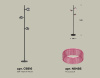 Торшер Ambrella Light Traditional (C9816, N8486) XB9816251