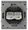 Розетка Эра Arktik 16-3108-03 информационная двойная 2XRJ45 алюминий Б0070486