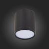 Потолочный светильник ST Luce Rene ST113.442.05