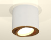 Накладной поворотный светильник Ambrella Light Techno XS7401004 (C7401, N7004)