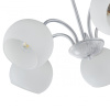 Подвесная люстра Arte Milano Amalfi 335010/5 WT+SL