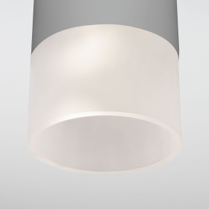 Уличный потолочный светильник Elektrostandard Light LED 4690389177934