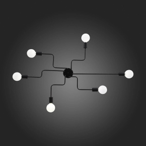 Потолочная люстра ST Luce Ano SL419.442.06