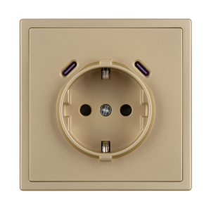 Механизм розетки с USB зарядкой Arlight SCT-NOBE-MUCC-SFPL-GD (230V, 16A) 061815