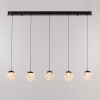 Подвесной светильник Delight Collection MD25030003-5B matt black/clear