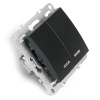 Выключатель 2-клавишный с индикатором Stekker Эрна PSW10-9102-03 49147