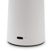 Настольная аккумуляторная лампа Freya Mushroom FR6109TL-L4W