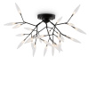 Потолочный светильник Freya Iris FR5067CL-27B