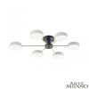 Потолочная люстра Arte Milano Ferrara 252006/6 Bk/Wh