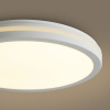 Потолочный светильник Freya Rua FR6160CL-L40W