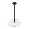 Подвесной светильник Hinkley Lotus QN-LOTUS-P-BLK