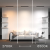 Трековый магнитный светильник Maytoni Technical Basis Radity TR080-4-20WTW-B