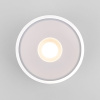 Уличный потолочный светильник Elektrostandard Light LED 35141/H белый 4690389180132 a057471