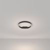 Потолочный светильник Maytoni Rim MOD058CL-L25BK