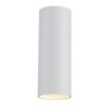 Настенный светильник Escada 30015W/02 White
