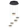 Подвесной светильник Delight Collection MD21020075 MD21020075-5A matt black