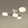 Потолочный светильник Freya Crown FR6119CL-L48W