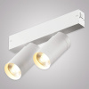 Трековый однофазный светильник AM Group AM528 WH-220V-2X10W SMART