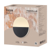 Настенный светильник Freya Market FR6199WL-L4B