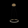 Подвесной светодиодный светильник Loft IT Ring 10014S