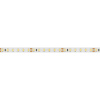 Светодиодная лента Arlight RT-A120-8mm 24V White6000 (9.6 W/m, IP20, 2835, 50m) 024568(2)