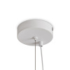 Подвесной светильник Freya Isabella FR6202PL-L14W