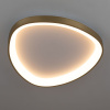 Потолочная люстра Citilux Genka Smart CL756A142