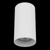 Потолочный светильник Lightstar Rullo 216486