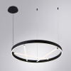 Подвесная люстра Arte Lamp Ricco A1874SP-45BK