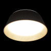 Потолочный светильник Loft IT Evans 10224 Black