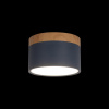 Накладной светильник Loft IT Grape 10162 Blue