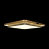 Потолочный светильник Loft IT Mike 10172