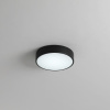 Потолочный светильник Zortes Tortty ZRS.02563.36