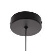 Подвесной светильник Citilux Signature CL247031