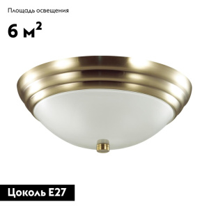 Настенно-потолочный светильник Lumion Vintage 5262/2C
