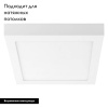 Потолочный светодиодный светильник Lightstar Zocco 324122