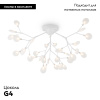 Потолочная люстра Freya Florencia FR5049CL-36W1