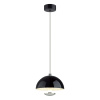 Подвесной светильник Lumion Globe 6568/6L