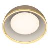 Потолочный светильник Citilux Floom CL736152