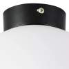 Потолочный светильник Lightstar Globo 812027