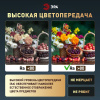 Потолочный светильник Эра Классик без ДУ SPB-6 BK 24W-5K Slim Base