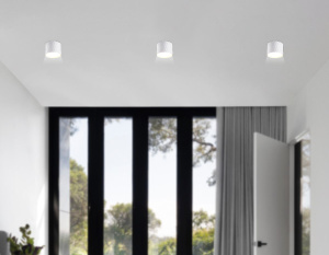 Накладной светильник Ambrella Light GX Standard Tech TN5358