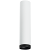 Накладной светильник Lightstar Rullo R4963437 (214496+203437)