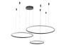 Подвесная люстра Zortes Ringolight ZRS.33320.120F