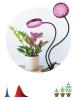 Настольная лампа Эра FITO-20W-АLED-R Б0053290